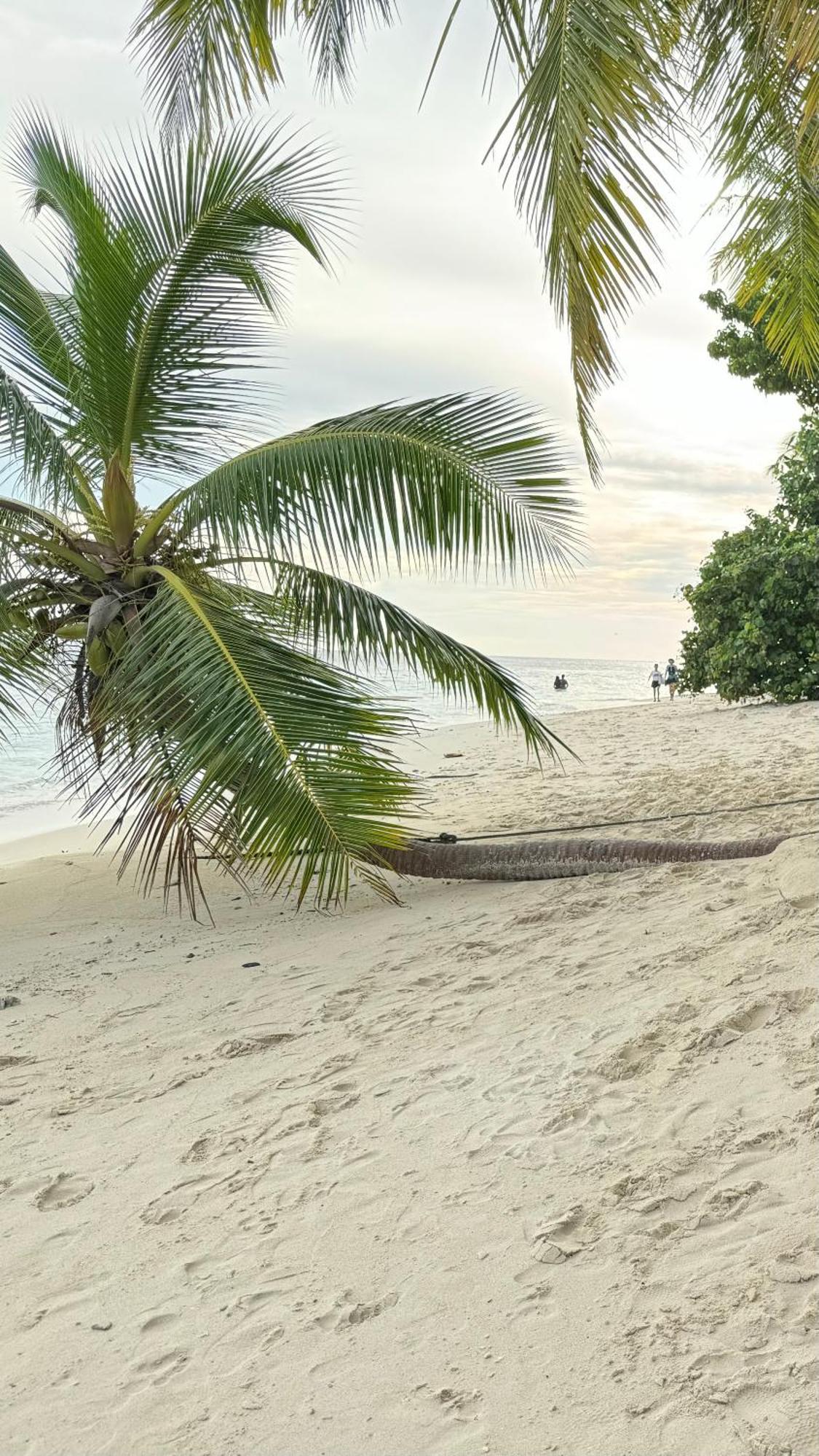 Alimas Holiday Retreat Maldives Felidhu-Atoll Exterior foto